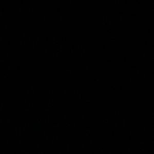 Meet your Posher, Sawyer